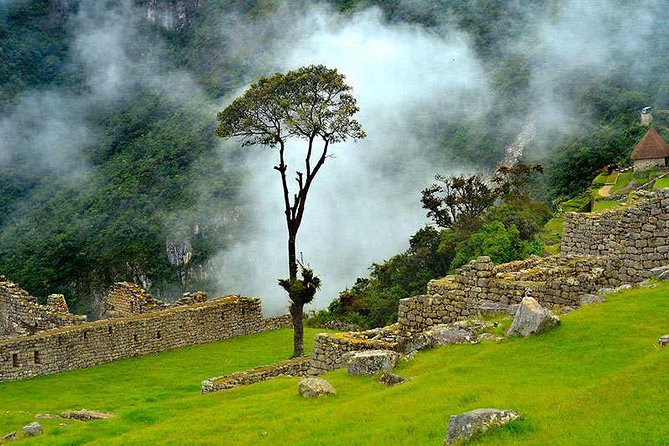 07 Day: Inca Jungle Adventure with Mountain Bike, Rafting, Zipline & Trek - Zipline: where the jungle adds a new angle