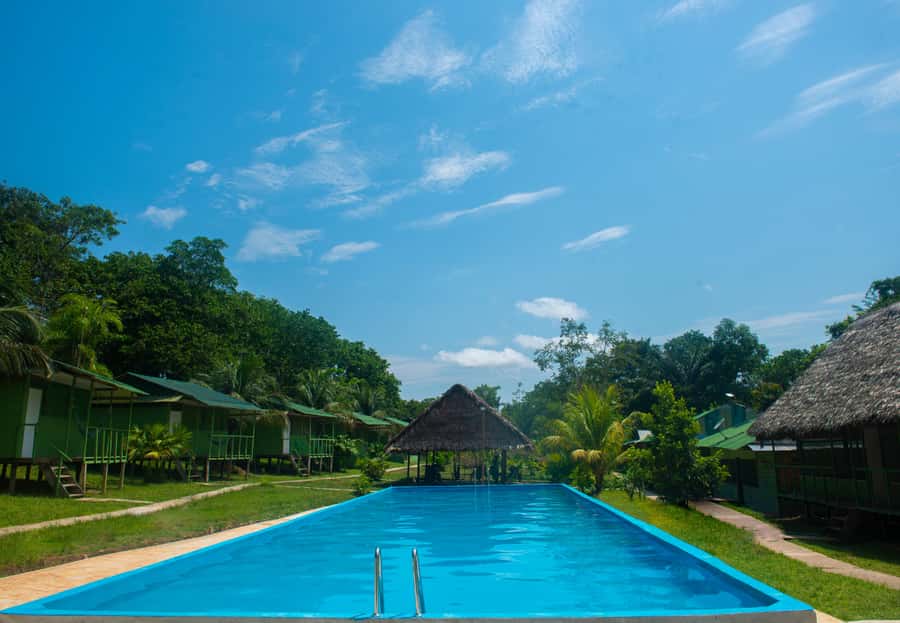 2-Day All Inclusive Guided Jungle Tour from Iquitos - Key highlights you will actually care about