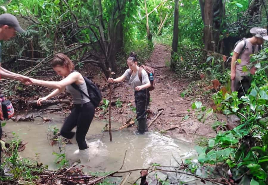 2-Day All Inclusive Guided Jungle Tour from Iquitos - How the Iquitos blocks fit in, market stop and city wildlife time