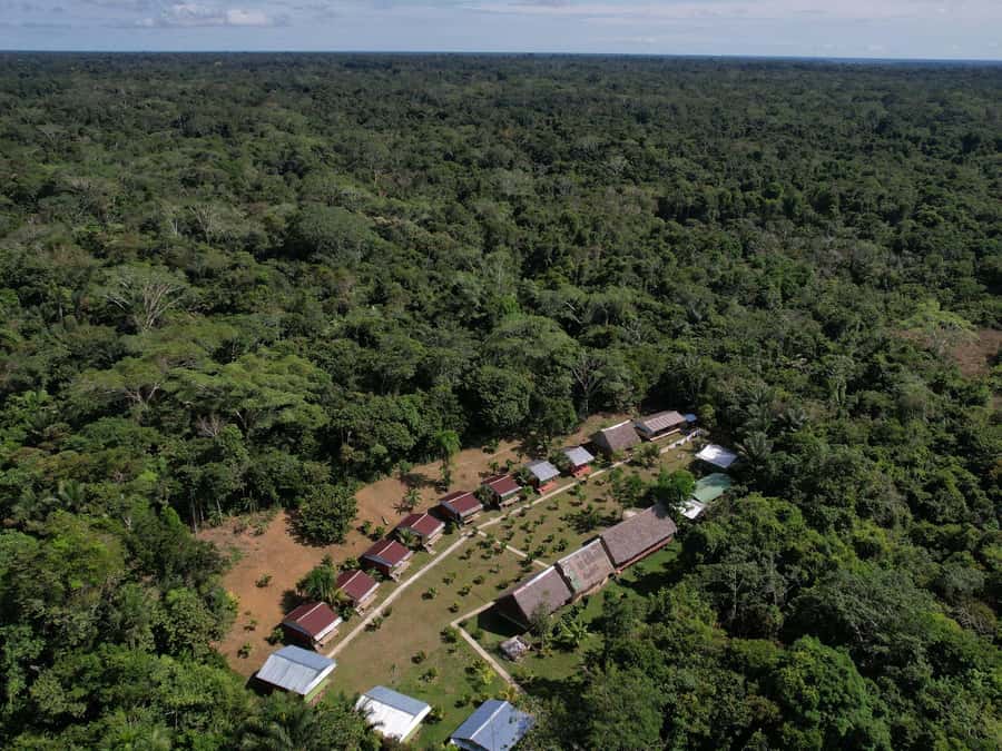 2-Day All Inclusive Guided Jungle Tour from Iquitos - Why this 2-day Iquitos jungle tour feels full, not rushed