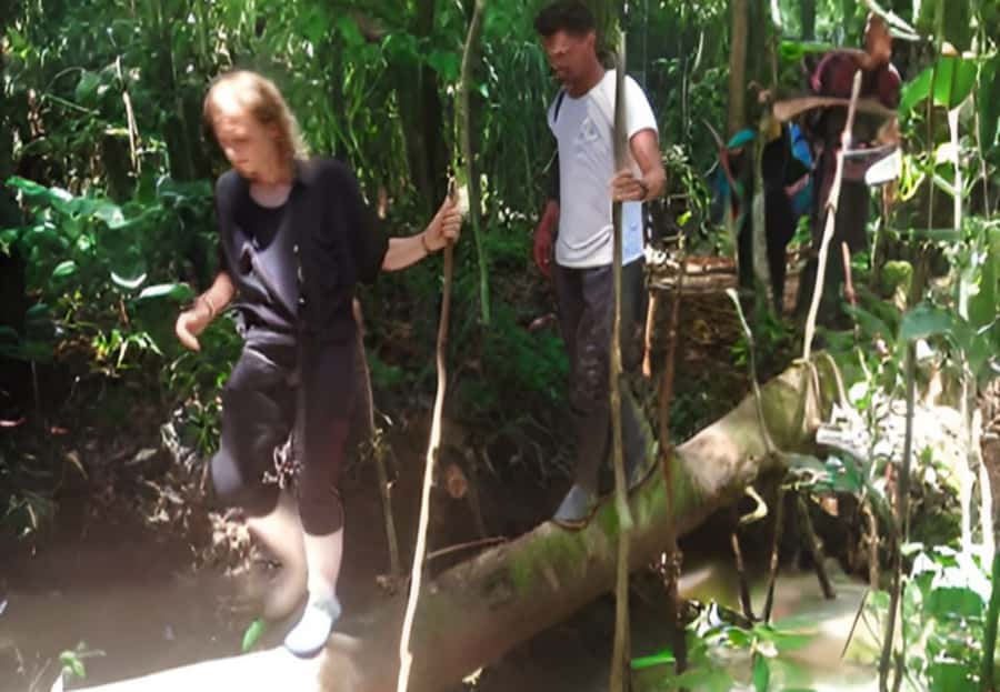 2-Day All Inclusive Guided Jungle Tour from Iquitos - Pink river dolphin watching, plus the chance to swim