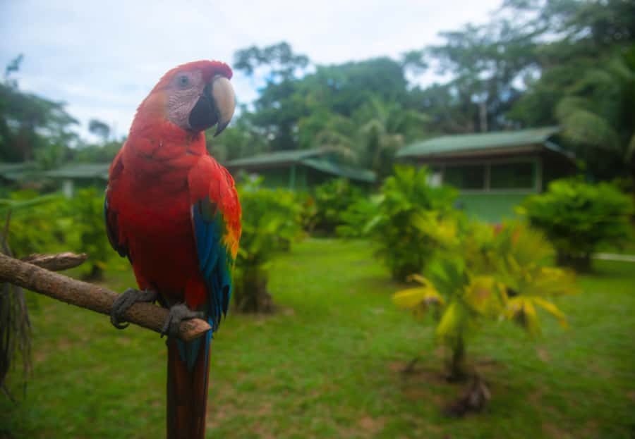 2-Day All Inclusive Guided Jungle Tour from Iquitos - Maniti Eco-Lodge, private comfort without losing the jungle feeling