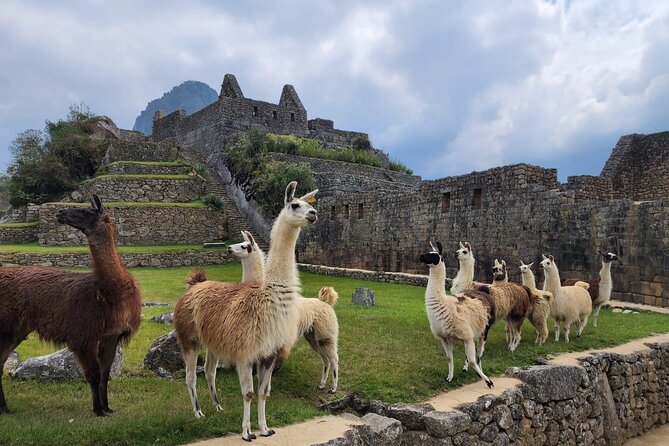 2 Day - Inca Trail to Machu Picchu - Machu Picchu Circuit 1-B near closing: a calmer first encounter