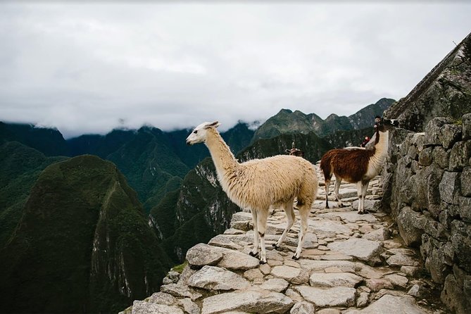 2-Day Short Inca Trail to Machu Picchu - Price and Value, Why $680 Might Feel Reasonable