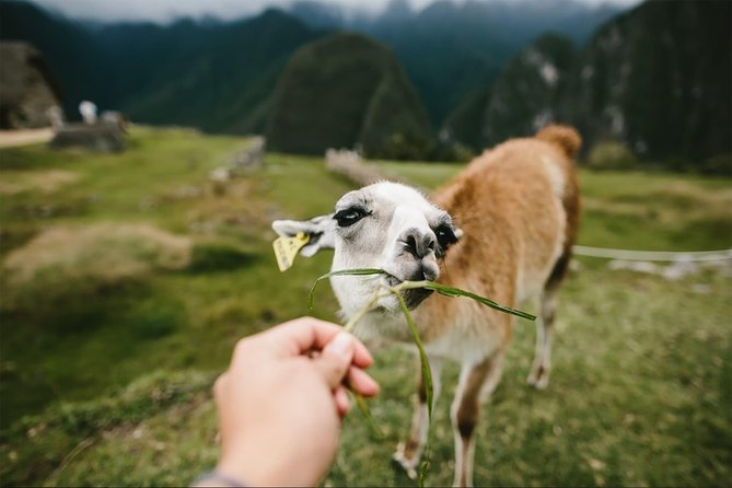 2-Day Short Inca Trail to Machu Picchu - Logistics You Should Actually Plan For