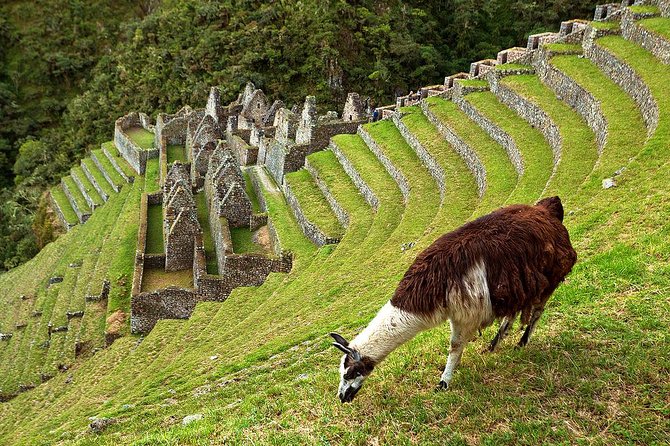 2 Day - Short Inca Trail to Machu Picchu - Group Service - A short Inca Trail that still delivers big moments