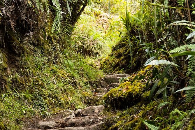 2 Day - Short Inca Trail to Machu Picchu - Group Service - Day 2 at Machu Picchu: 5:30am bus, guided walk, and free time