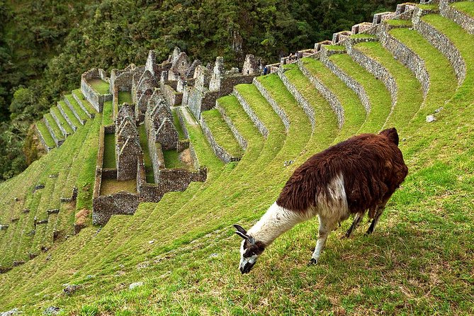 2 Day - Short Inca trail to Machu Picchu - Private Services - Aguas Calientes Night, Dinner and a Real Reason to Sleep