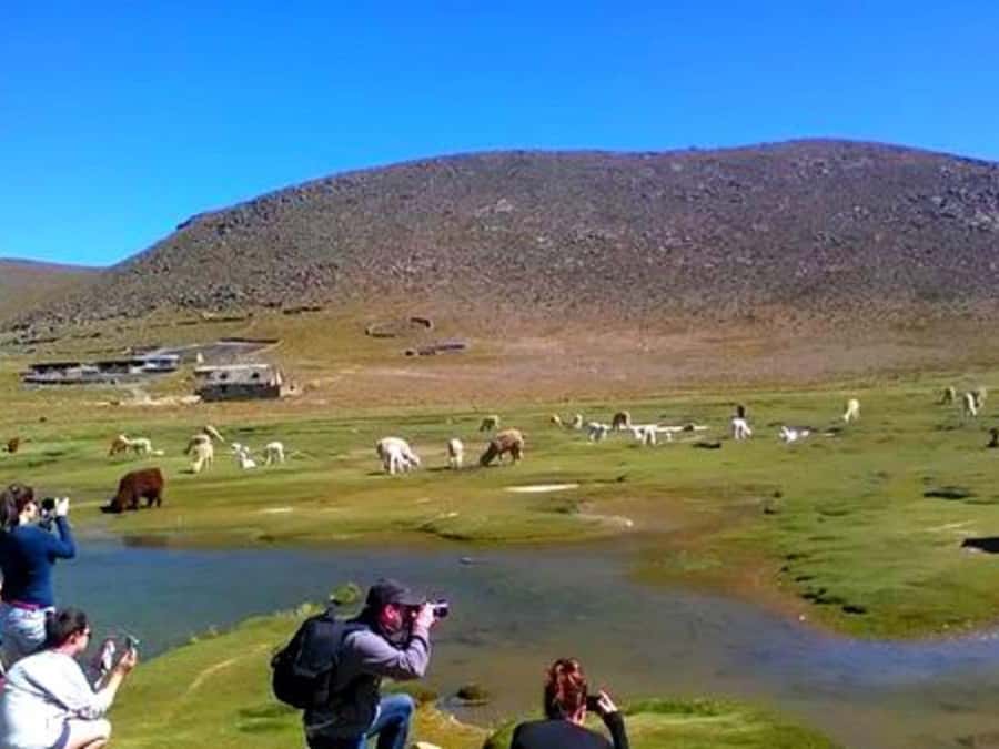 2-Day Tour Colca Canyon in Arequipa with end in Puno - Chivay to Puno transfer: long, guided, and worth planning for