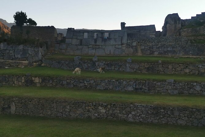 2-Day Tour in Sacred Valley and Machu Picchu from Cusco - Day 2 at Machu Picchu: a full 8 hours with the bus round trip handled