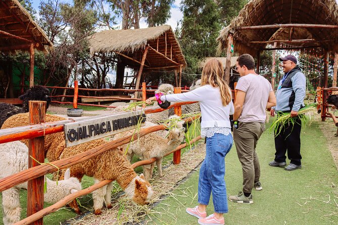 2-Day Tour: Sacred Valley & Machu Picchu – All Tickets Included - The Train Choice: Vistadome 360° vs Normal, and What You Gain