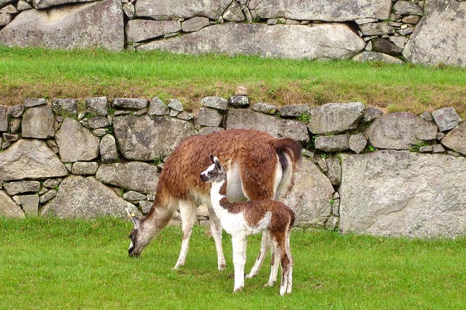 2 Day - Tour to Machu Picchu from Cusco - Group Service - Weather and the Machu Picchu reality