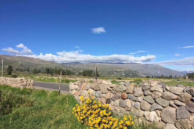 2 Day Trek Including Transfer to Puno / Colca Canyon - The long drive down to Cabanaconde and the first descent