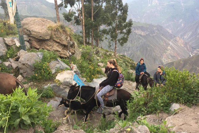 2 Day Trek Including Transfer to Puno / Colca Canyon - Day two starts with a torchlight climb to Cabanaconde