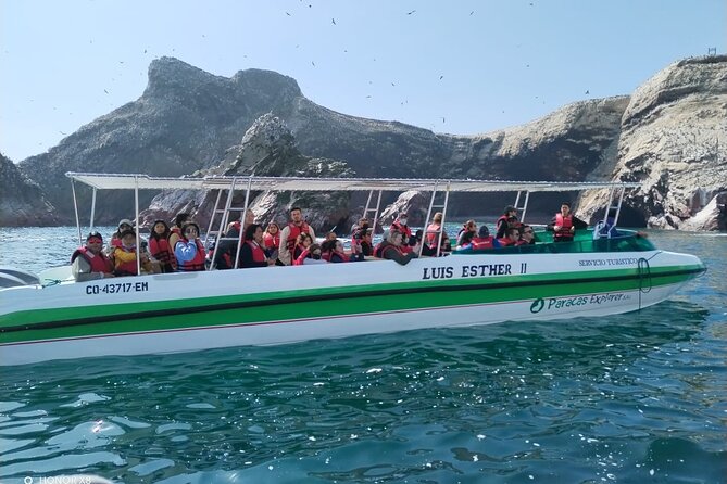 2-Hour Tour to the Ballestas Islands from Puerto San Martín - Ballestas Islands in 2 hours: what you actually see