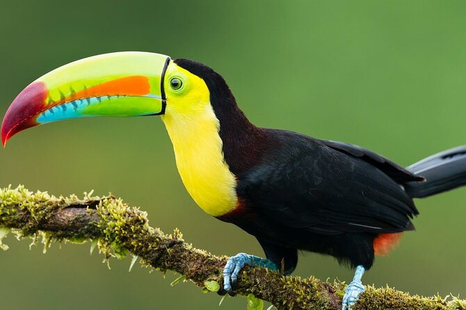 3-Day All Inclusive Guided Jungle Tour from Iquitos at Maniti Eco-Lodge - 3 days of Amazon wildlife, without the stress