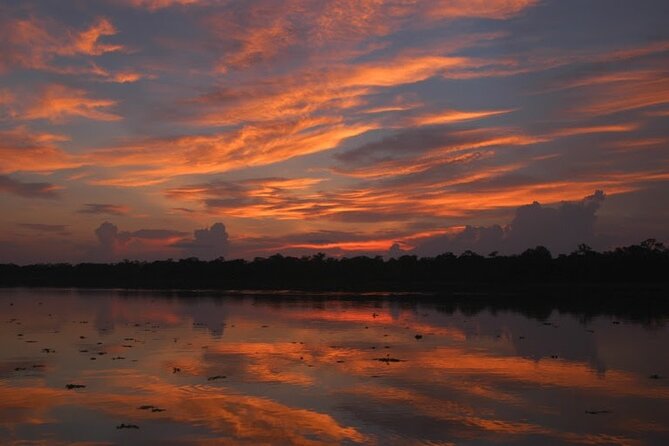 3-Day All Inclusive Guided Jungle Tour from Iquitos at Maniti Eco-Lodge - Day 3: Jungle hike, plants and monkeys, then a visit with a native community