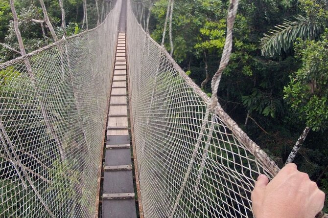 3-Day All Inclusive Guided Jungle Tour from Iquitos at Maniti Eco-Lodge - Guides make a big difference, and the names matter