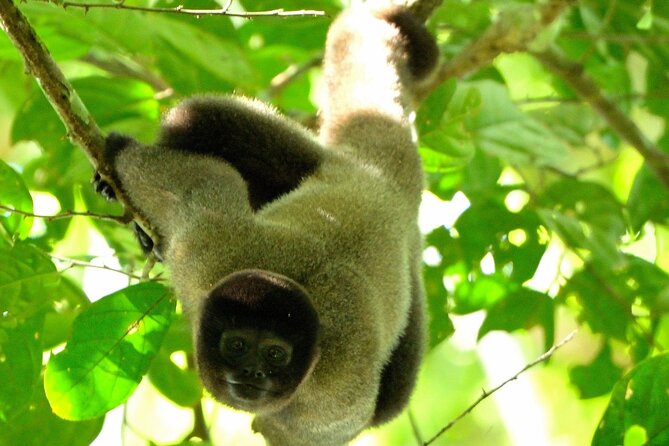 3-Day Eco-Sustainable Private Tour Manu National Park - Quick Hits: What Makes This Manu Tour Work