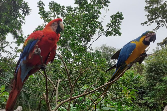 3-Day Eco-Sustainable Private Tour Manu National Park - Day 2 from Atalaya: Boat on the Upper Madre de Dios, Thermal Baths, and Machuwasi Rafts