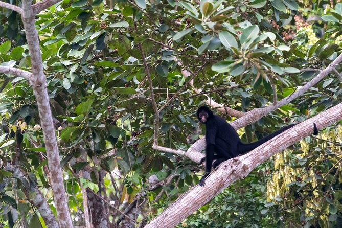 3-Day Eco-Sustainable Private Tour Manu National Park - Eco-Sustainable and Social Responsibility: What You Can Actually Notice