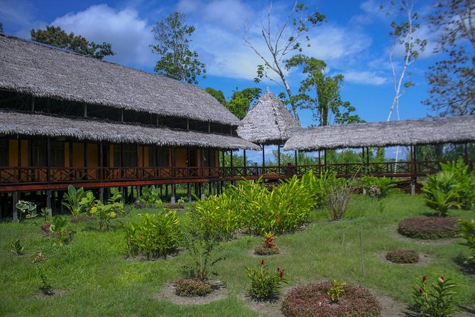 3-Day Iquitos Amazon Jungle Adventure at Heliconia Lodge - Day 1 in Yanamono Reserve: heliconias, medicinal plants, and a midnight-feeling boat
