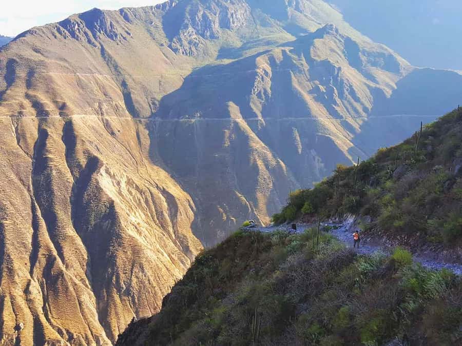 3-day trek to the Colca Canyon from Arequipa ending in Puno - Day 2: San Juan de Chuccho to Sangalle oasis, towns and the pool reward