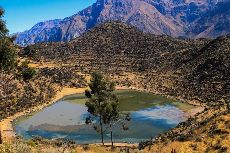 3-day trek to the Colca Canyon from Arequipa ending in Puno - Day 1: Arequipa to San Juan de Chuccho, condors and first descent