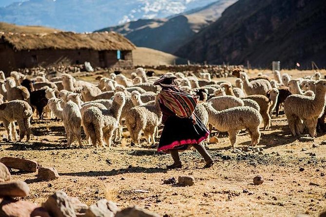 4-Day Lares Trek to Machu Picchu - Day 1: Cusco to Pumahuanca via the Sacred Valley and an Inca site