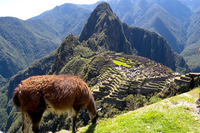 4 Day - Machu Picchu Special - Group Service - Day 1 in Cusco: Koricancha, Cathedral, and Sacsayhuaman in half a day