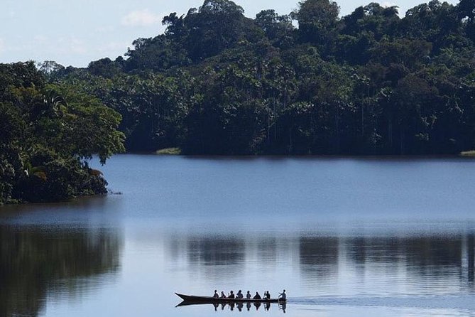 4 Day Tambopata Amazon Wildlife & Canopy Experience - Day 2 Canopy at 5:30 am and Sandoval Lake wildlife on the move