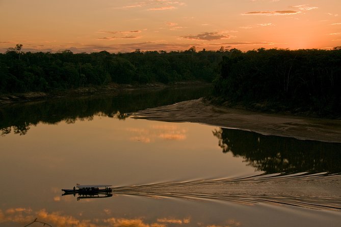 4 Day Tambopata Amazon Wildlife & Canopy Experience - Day 4 Parrot clay lick, native jungle family visit, and market time