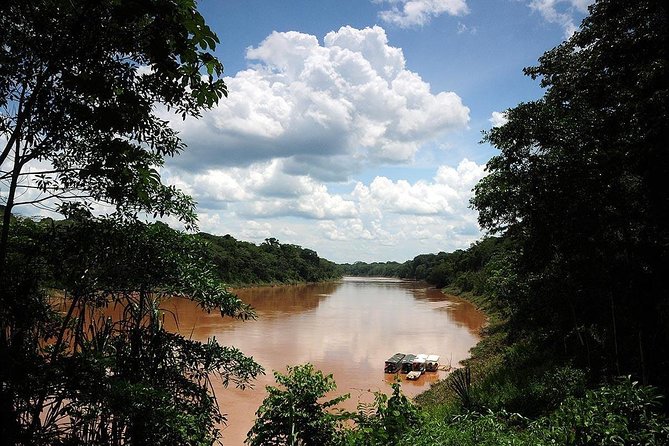 4 Day Tambopata Amazon Wildlife & Canopy Experience - Jungle lodge reality check: comfortable enough, not a hotel