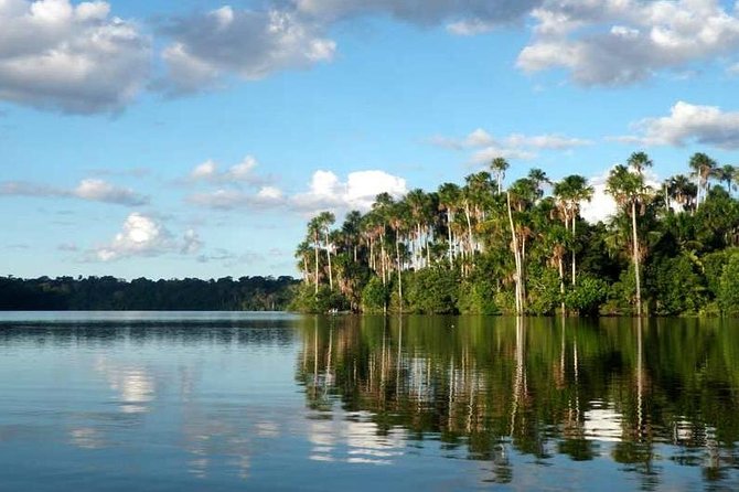 4 Day Tambopata Amazon Wildlife & Canopy Experience - Day 1 Monkey Island, jungle walk, then caimans at night