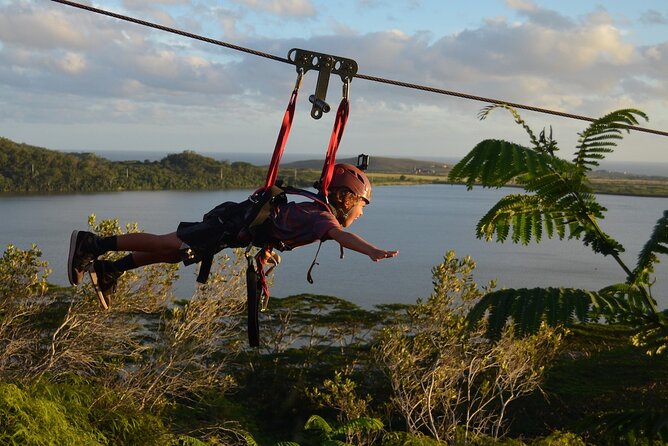 4 Day Tambopata Jungle Tour with Local Guide - Day 2: Lake Sandoval hike, rowboat wildlife, then a nocturnal walk
