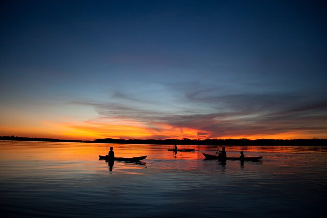 4 Day Tambopata Jungle Tour with Local Guide - Price and value: what $360 buys in real time