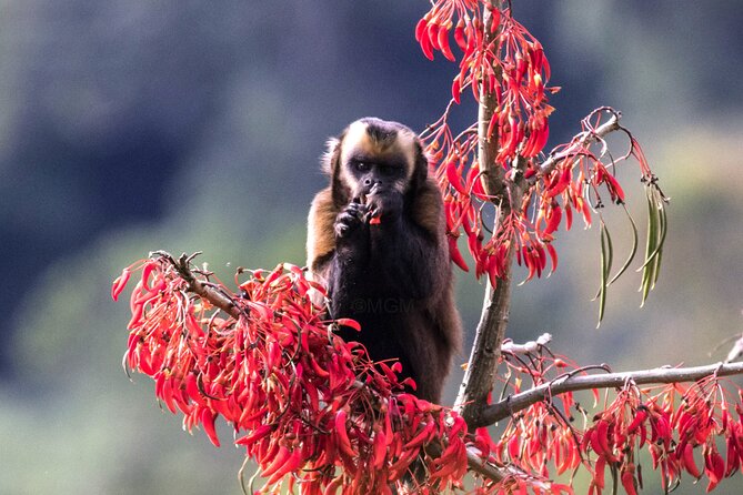 4 Day Tour to the Manu National Park - Key highlights you will actually feel