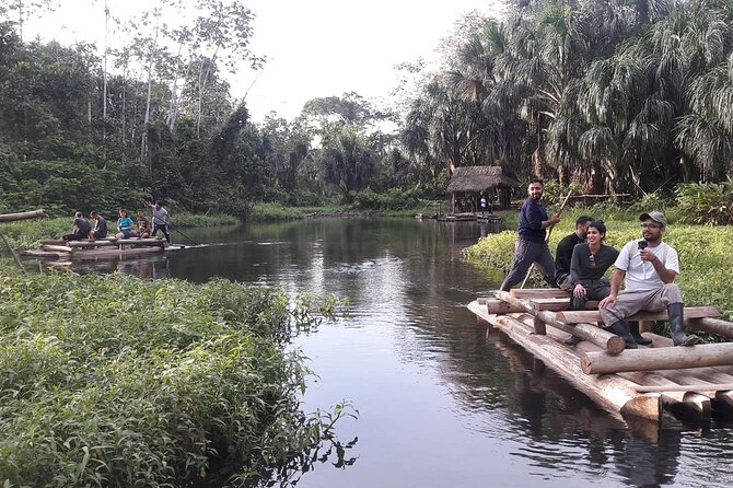 4 Day Tour to the Manu National Park - Wildlife viewing, night walks, and why good guiding matters