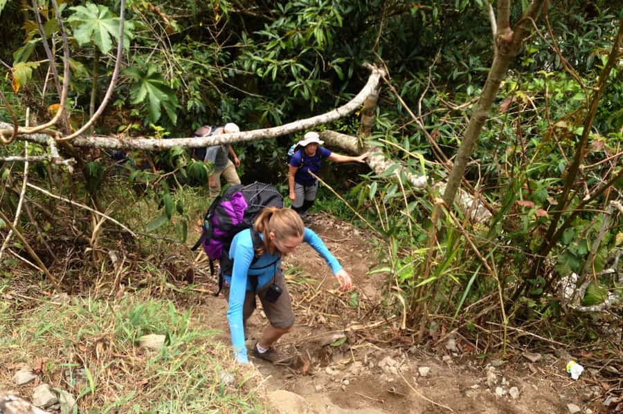 4 Days Inca Jungle Adventure to Machu Picchu - Getting Back to Cusco: Two Routes, One Tradeoff (Time vs. Convenience)