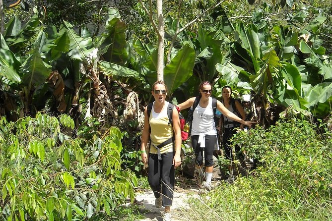 4 Days Inca Jungle to Machu Picchu Standard - Day 3: Santa Teresa start, zipline choice, hydroelectric lunch, and the walk to Aguas Calientes