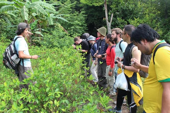 4 Days Inca Jungle to Machu Picchu Standard - Lodging and food: where this tour is basic, but functional