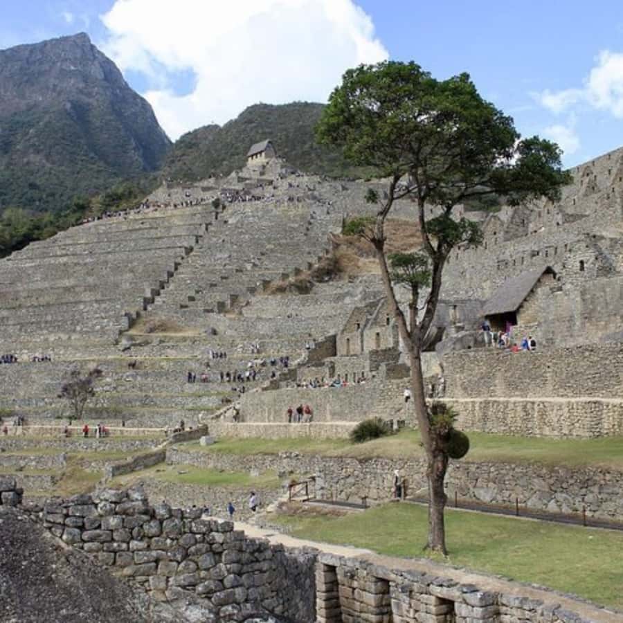 5-Day Classic Salkantay Trek to Machu Picchu return by Train - Price and logistics: is $699 good value for this route?