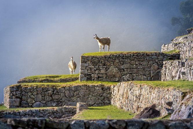 5 Day - Tour to Machu Picchu Traditional - Group service - Machu Picchu at first light: guided walk, then room to roam