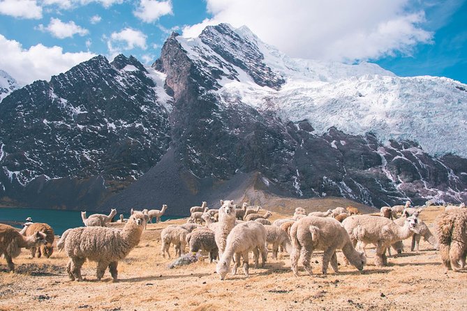 6 day Rainbow Mountain x Ausangate Trek - FlashpackerConnect - Gear, horses, and how to pack smart with the 6kg duffel limit