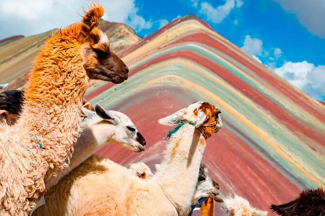 6-Day Tour of Cusco Magico-Machu Picchu-Rainbow Mountain - Price and Value: What You Get for $539