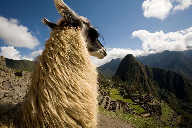 7 Day Peru Private Journey - Machu Picchu day: bus up, guided walk, then back to Cusco