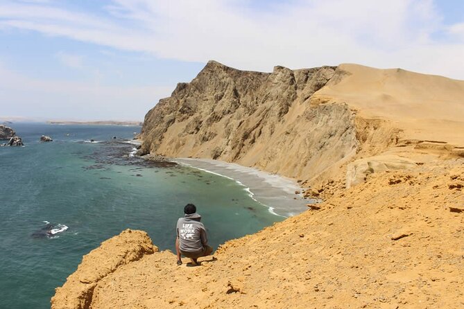 7-Hours Tour in Paracas National Reserve with Pickup - Price and value: what $38 actually buys