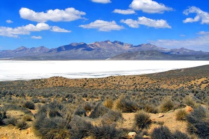 8-Hours Tour in Arequipa Laguna de Salinas with Pick-up - Laguna de Salinas: the mirrored lagoon moment, plus the wind factor