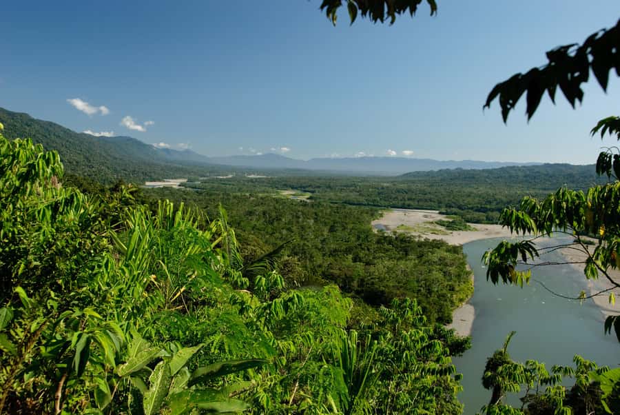 Amazonas Manu Cultural Zone 4 Days / 3 Nights - Who this tour suits best, and who should reconsider