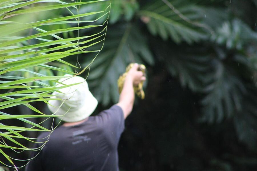 Amazonian Adventure 3 Days: Exploring the Jungle from Cusco - Price and Value: Is $429 Fair for 3 Days in Manu?